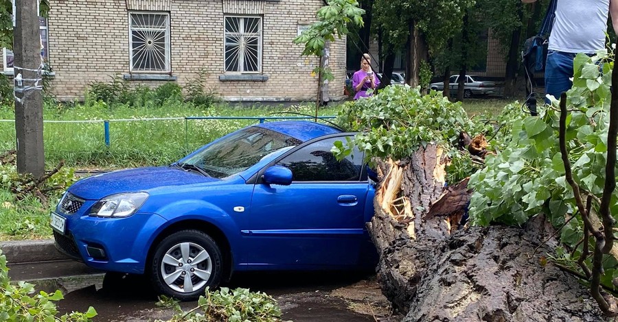 Упавшие деревья, раздавленные машины: по Киеву пронесся ураган