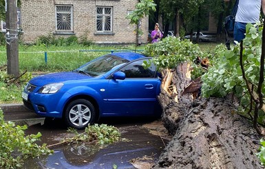 Упавшие деревья, раздавленные машины: по Киеву пронесся ураган
