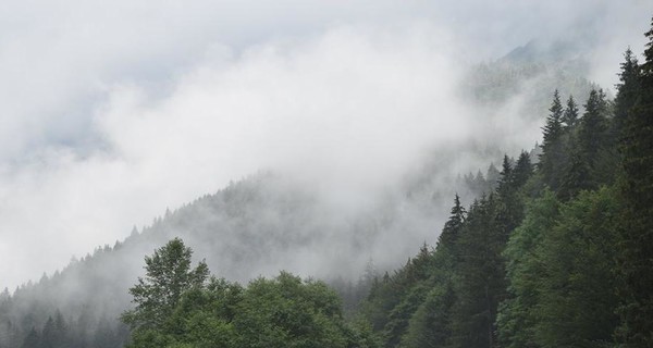 На выходных Украину ждет больше дождей