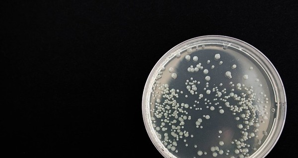 В США создали наночастицы против супербактерий и их коварных генов