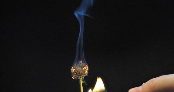 В Житомирской области ревнивец поджег любимую: у женщины обгорело 20% тела