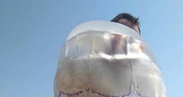 В Кирилловке похвастались гигантской медузой