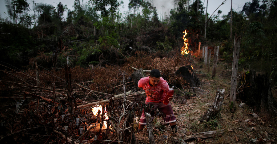 Последствия пожара в джунглях Амазонки