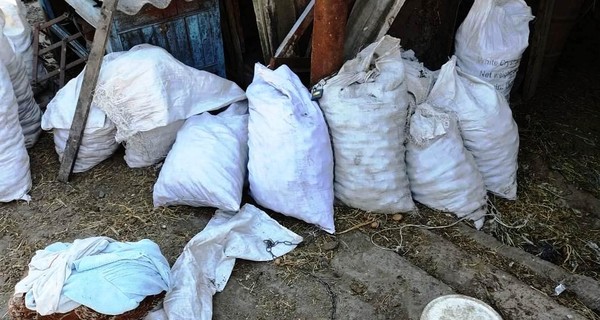 На Виннитчине задержали мать, которая надела на дочь ошейник с цепью