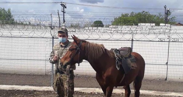 В украинских колониях лошади помогают предотвращать побеги