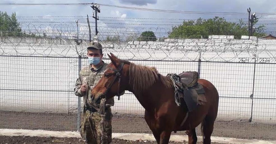 В украинских колониях лошади помогают предотвращать побеги