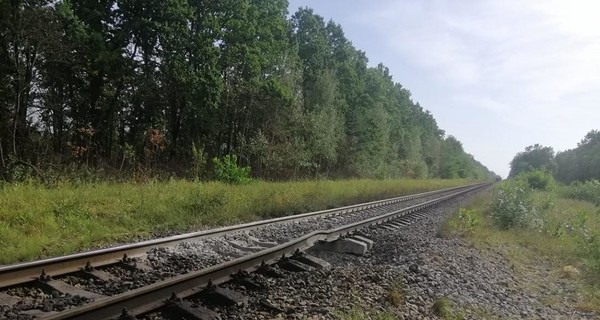 Взрыв рельсов под поездом на Житомирщине в СБУ расследуют как теракт