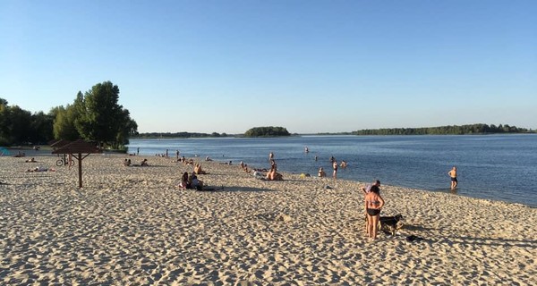 На Киевщине произошла массовая перестрелка: молодчики приехали с автоматами