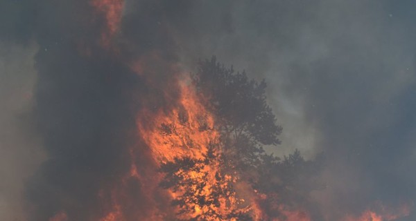 Пожары в Харьковской и Луганской областях: пропавшего во время тушения военного нашли мертвым