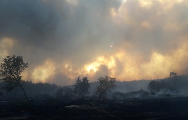 Из-за масштабных пожаров на Харьковщине объявили чрезвычайную ситуацию