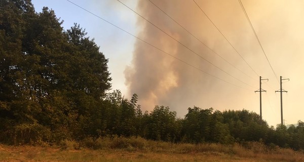 Луганская прокуратура открыла дело по факту масштабных пожаров