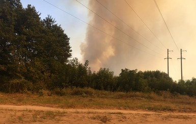 Луганская прокуратура открыла дело по факту масштабных пожаров