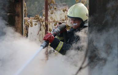 В Донецкой области за сутки возникли 89 пожаров