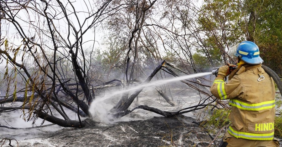 В Харьковской и Луганской областях потушили несколько возгораний