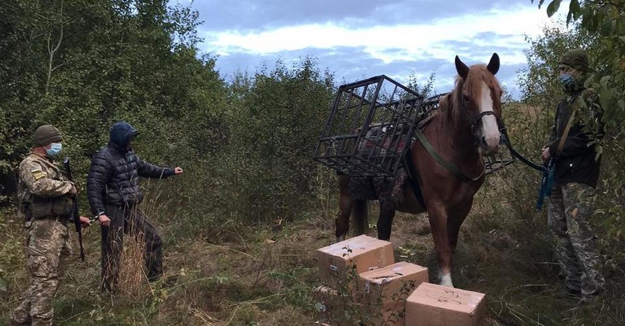 Контрабандист пытался вьючной лошадью провезти в Украину из России табак для кальяна