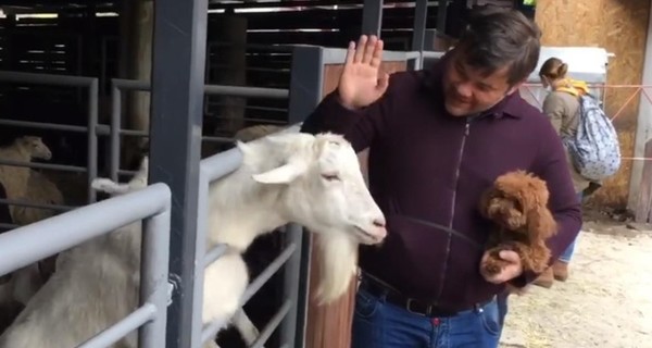 Богдан рассказал, почему обидел козу в киевском зоопарке