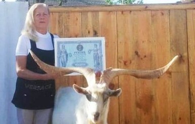 Самый рогатый козел в Украине живет в Одесской области