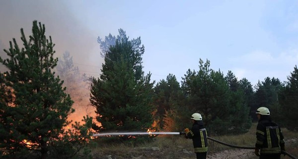 Под Киевом горит военный полигон: жителей городка призвали оставаться дома