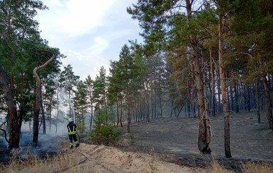 В Луганской области снова загорелся лес: огонь охватил площадь около 20 гектаров