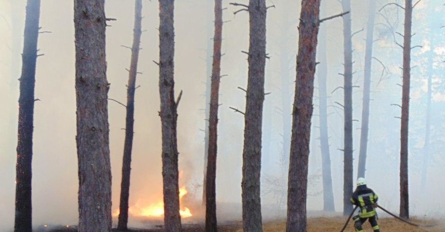 На Луганщине снова разгорелись лесные пожары, идет эвакуация сел