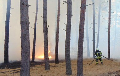 На Луганщине снова разгорелись лесные пожары, идет эвакуация сел