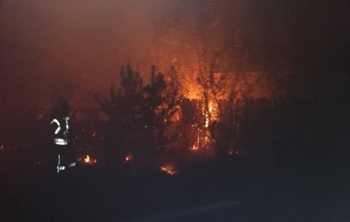 Пожары на Луганщине: погибли три человека, население эвакуируют