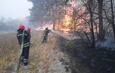 Количество жертв пожаров на Луганщине увеличилось до 9