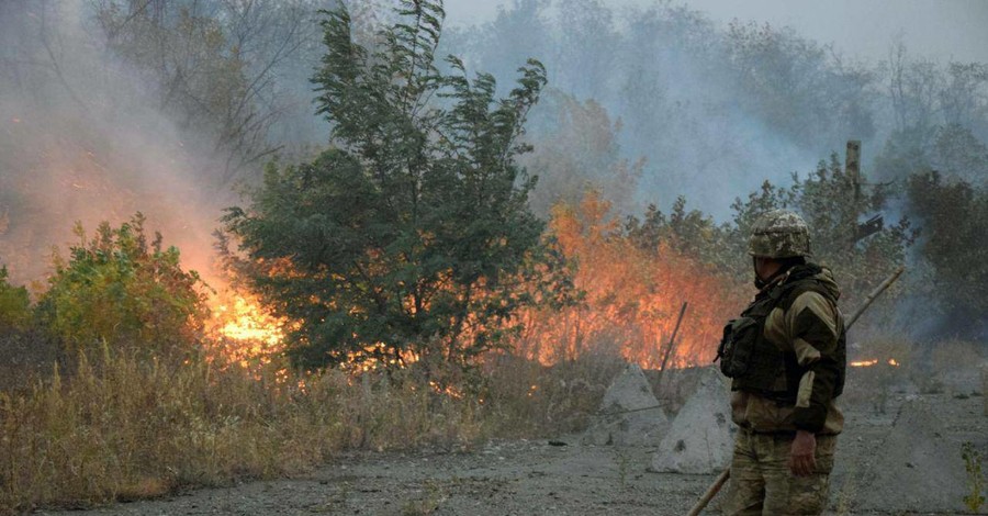 Зеленский не склонен связывать новые пожары в Луганской области с обстрелами