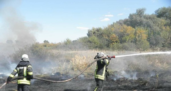 Пожары на Луганщине: спасателям удалось ликвидировать два очага возгорания