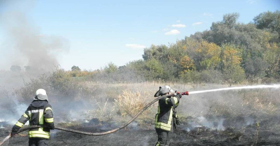 Пожары на Луганщине: спасателям удалось ликвидировать два очага возгорания