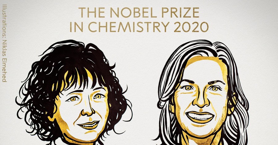 Нобелевскую премию по химии разделили две женщины, создавшие 