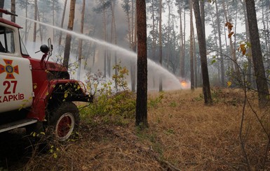 На Луганщине спустя 9 дней потушили пожары: огонь прошел более 20 тысяч гектаров