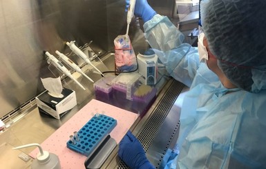 В Украине появятся новые экспресс-тесты, которые определяют коронавирус и его протеины