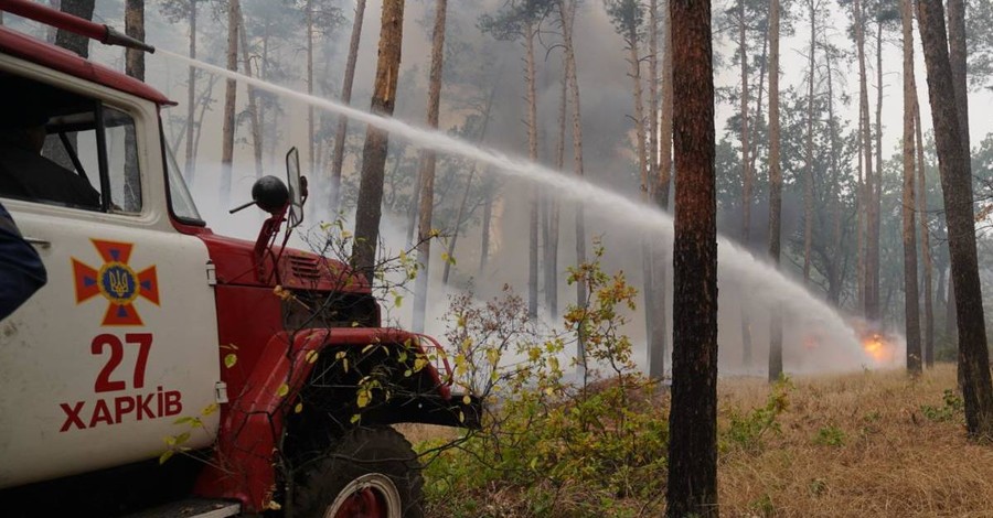 Пожары на Луганщине: владельцы сгоревших домов получат по 300 тысяч гривен