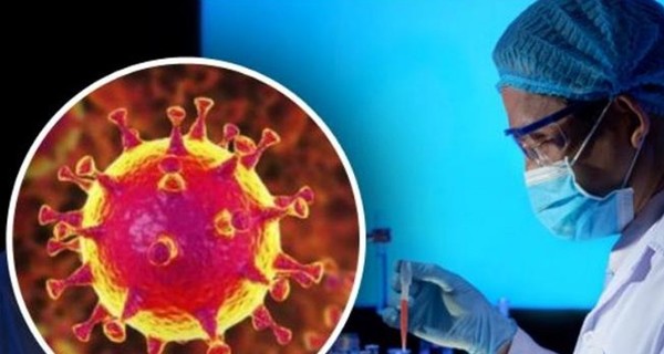 Ученые узнали, как долго коронавирус остается активным на коже человека