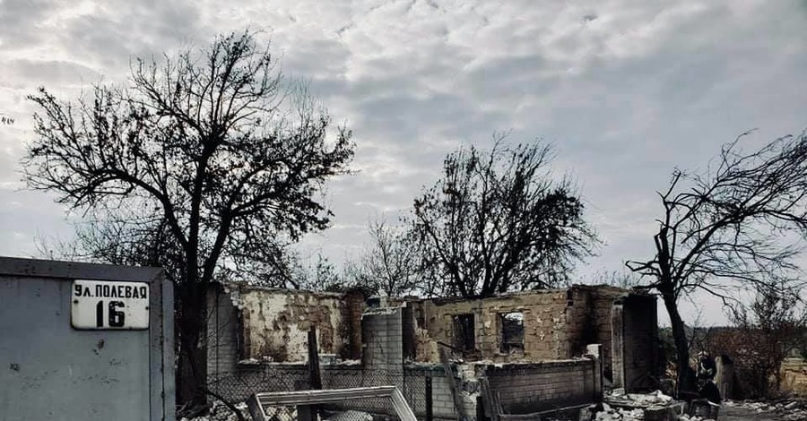 Волонтеры показали фото сгоревшего на Луганщине поселка: мертвые деревья и сплошные руины  