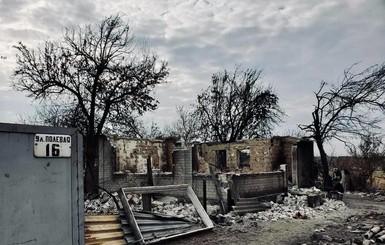 Волонтеры показали фото сгоревшего на Луганщине поселка: мертвые деревья и сплошные руины  