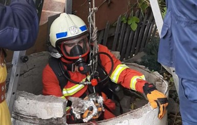 В Днепре спасли котенка, который провалился в 15-метровый колодец