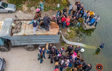 В Днепр выпустили 20 тысяч рыбешек, чтобы спасти реку от опасных водорослей