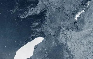 Гигантский айсберг надвигается на остров в Атлантике, угрожая пингвинам и тюленям