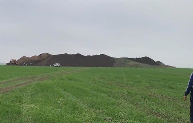 Черные археологи повторно разрыли скифский курган в Николаевской области