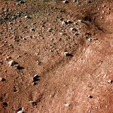 Марсианский грунт оказался похожим на земной [ФОТО] 