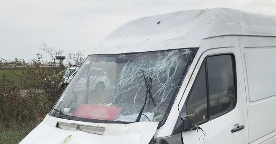 В Бердянске поймали угонщика микроавтобуса 