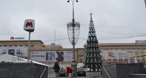 Нового года не будет? Винница уже отказалась от елки, а в Запорожье пишут протестные петиции