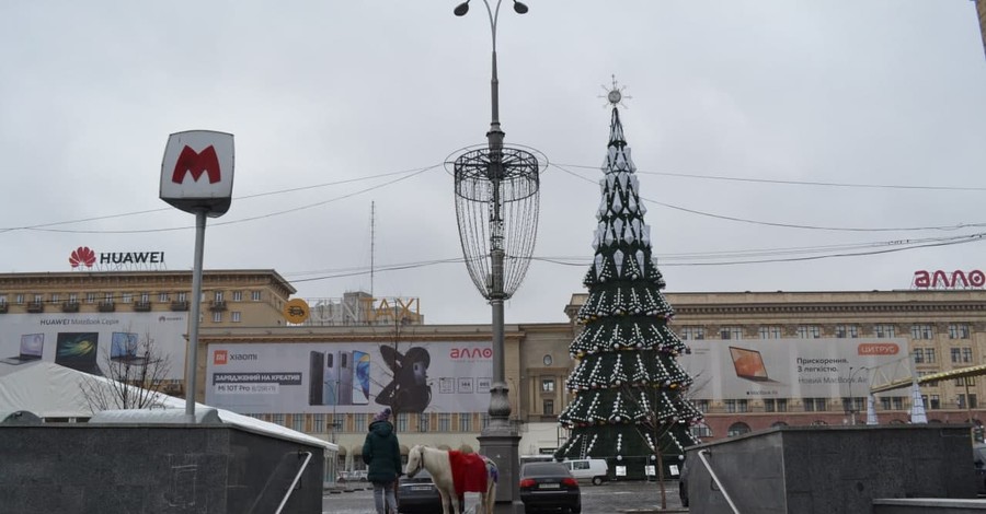 Нового года не будет? Винница уже отказалась от елки, а в Запорожье пишут протестные петиции