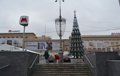 Нового года не будет? Винница уже отказалась от елки, а в Запорожье пишут протестные петиции