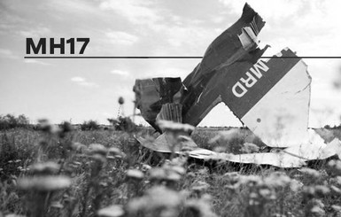 Дело MH17: суд отказался рассматривать альтернативные версии крушения Боинга под Донецком