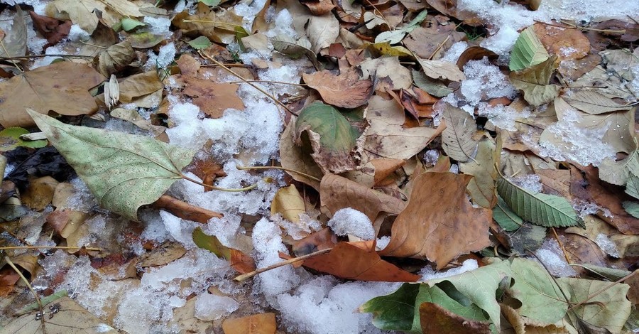 Синоптики предупредили о мокром снеге на выходных: каким областям не повезло