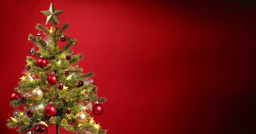 К чему снится новогодняя елка | Трансконтиненталь – елки, фонтаны, снегоуборщики