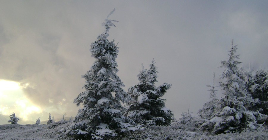 Красота гор и зимние пейзажи: удивительные фото заснеженных Карпат 